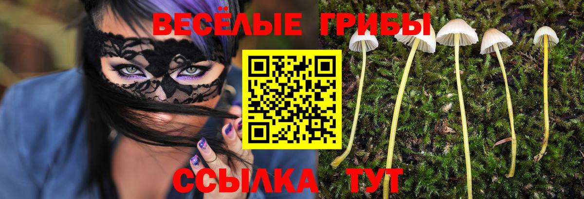 Архангельск  Галлюциногенные грибы Psilocybine cubensis  Вход с VPN 