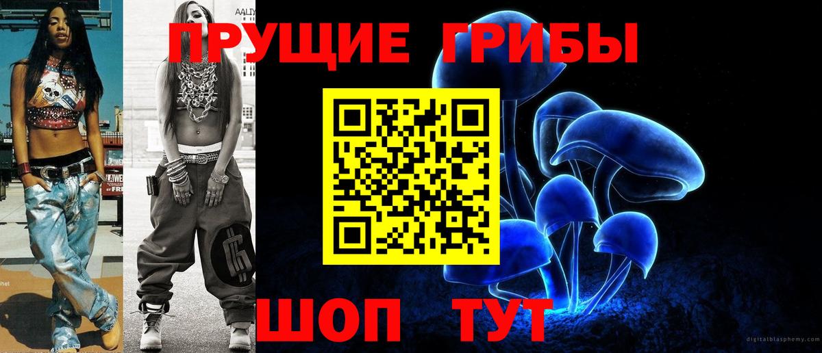 Псилоцибиновые грибы мицелий Архангельск